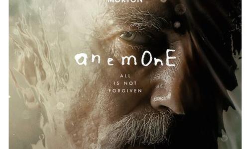 Anemone poster