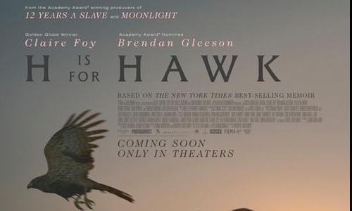 H is For Hawk poster