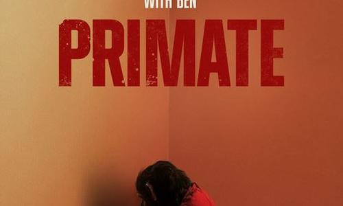 Primate poster
