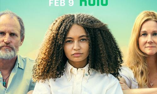 Suncoast poster